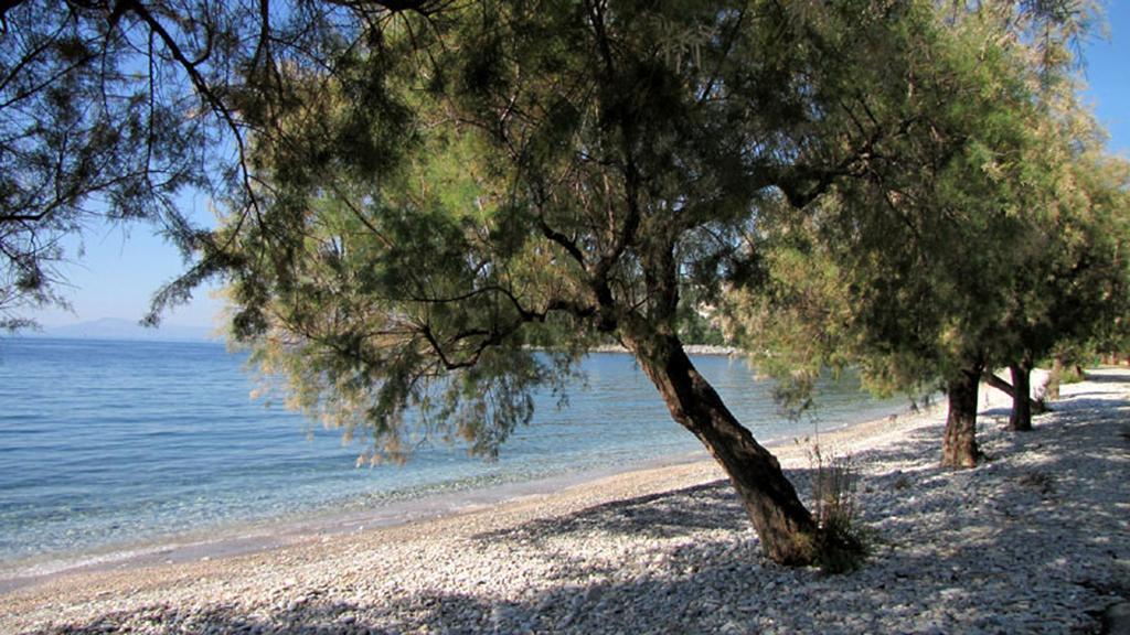 Iro Family Apartments Pelion Lefokastro Dış mekan fotoğraf